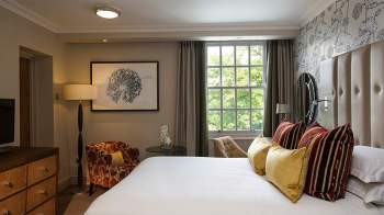 Image of a hotel room